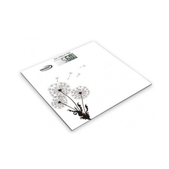 Hauser DPS204W személymérleg