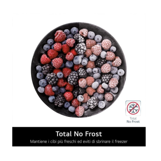 LG GBBW322CPY Total No Frost alulfagyasztós kombinált hűtőszekrény, 326/139L, Wifi, Smart Inverter Kompresszor, 69.7x70.4x203 cm, prime silver szín 