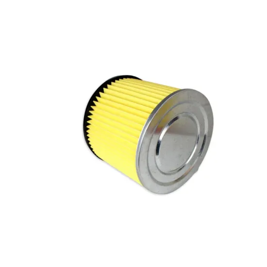 Takarítógép kompatibilis HEPA FILTER / MOTORVÉDŐ SZŰRŐ HENGERES THOMAS VARIO 16 BRAVO 20 egyéb típusokhoz 787421