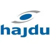 Hajdu
