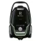 Electrolux EUOC9GREEN porzsákos porszívó 850W, fekete 