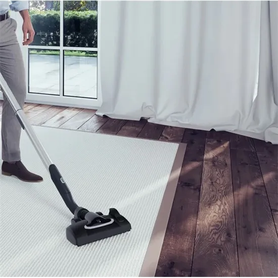 Electrolux EUOC9GREEN porzsákos porszívó 850W, fekete 