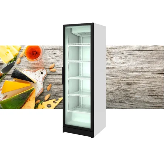 Snaige CD55DM-SV02DC21 Professional, Ipari üvegajtós hűtő, 2064x595x730mm, 500 liter