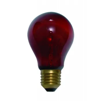 Éjszakai terrárium izzó A60RB 40W E27 500K Helios