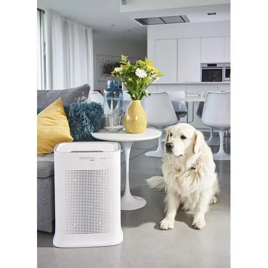 Rowenta PU3080F0 légtisztító Pure Air Genius