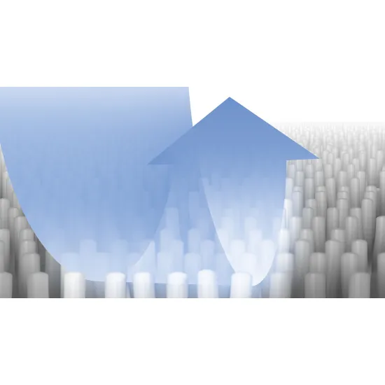 Bosch BBZWDSET, Tisztítószerszett