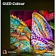 Hisense 100U7Q 4K UHD Smart MiniLED ULED TV, 100", 254 cm