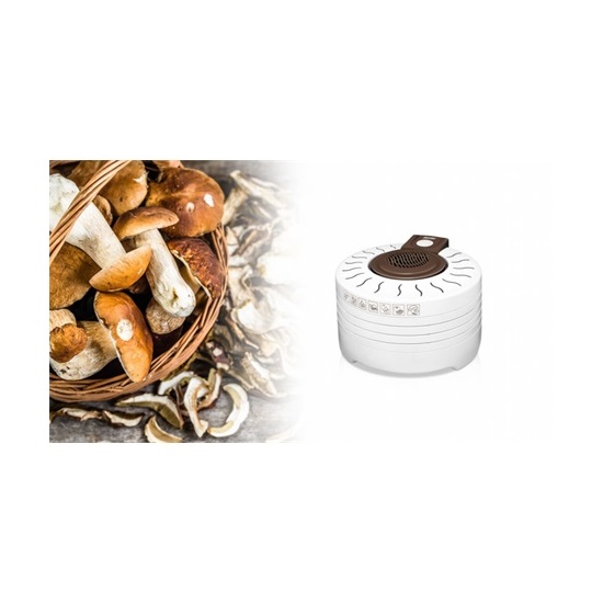 MPM MSG-17 aszalógép