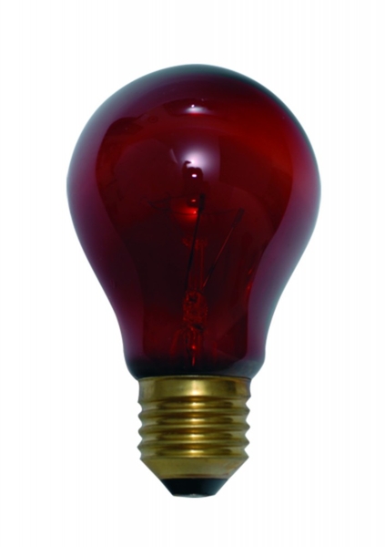 Éjszakai terrárium izzó A60RB 100W E27 500K Helios