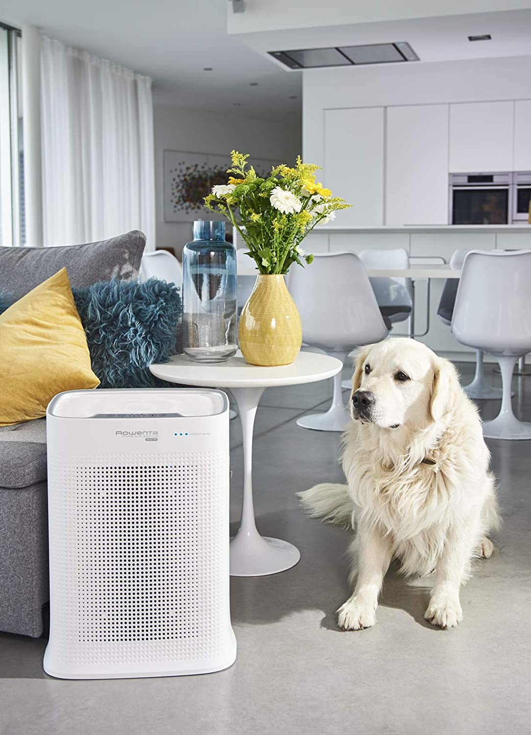 Rowenta PU3080F0 légtisztító Pure Air Genius