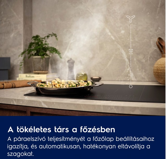 Electrolux LFG719R kürtőbe építhető konyhai elszívó, 77x30x33.1 cm, fekete szín 