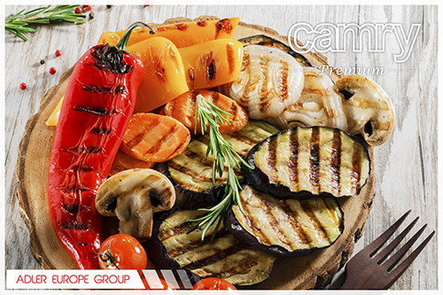 Camry CR6606 raclette grill