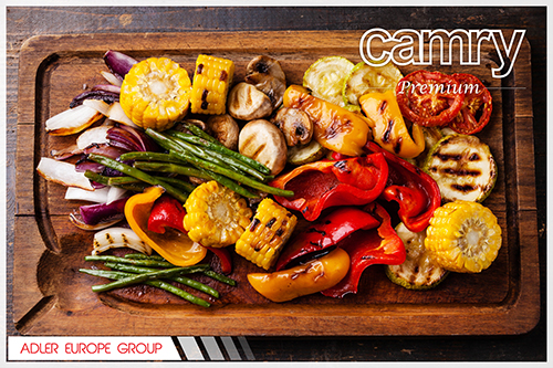 Camry CR6606 raclette grill